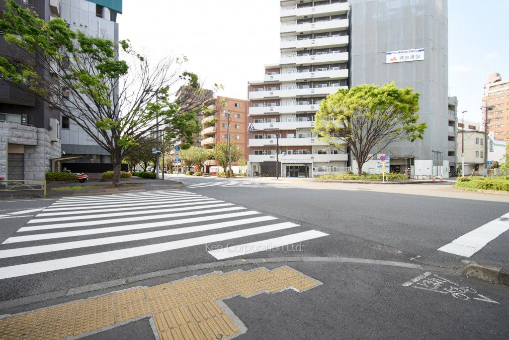 プライマル品川大森海岸の写真 前面道路