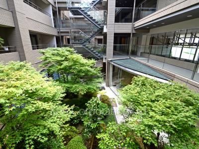  中庭・植栽