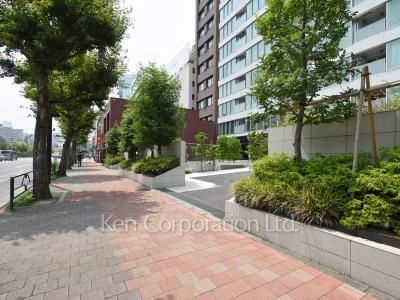 ブランズ市谷田町の写真 前面道路