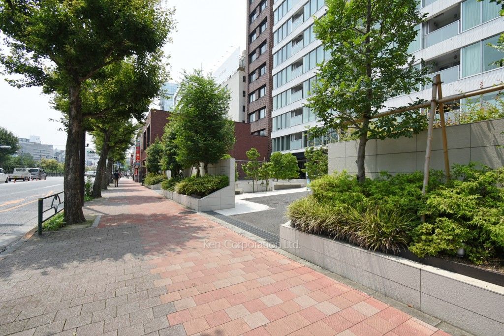 ブランズ市谷田町の写真 前面道路