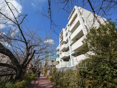  外観ひき