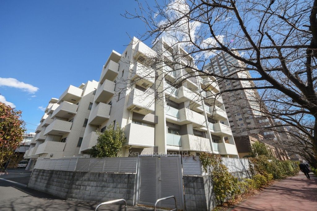  外観ひき