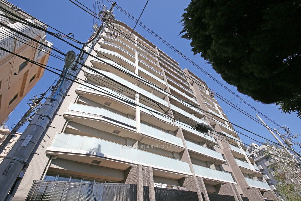  外観ひき