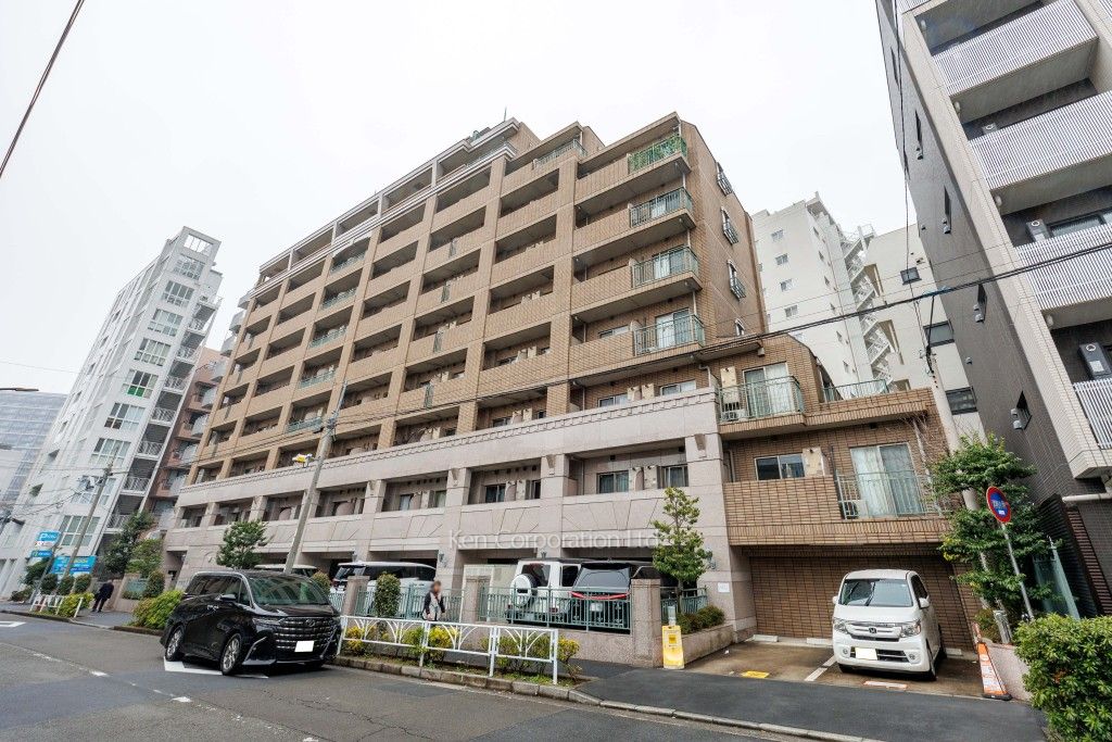  外観ひき
