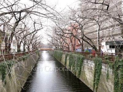 東急ドエル・アルス目黒青葉台の写真 目黒川