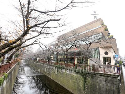 東急ドエル・アルス目黒青葉台の写真 目黒川
