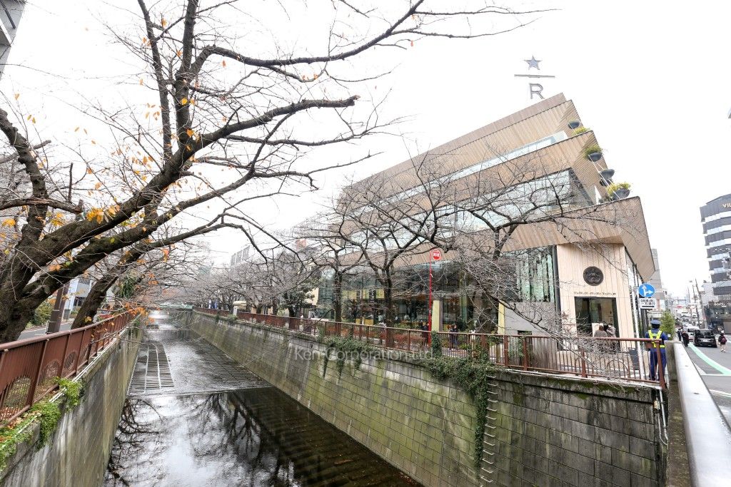 東急ドエル・アルス目黒青葉台の写真 目黒川