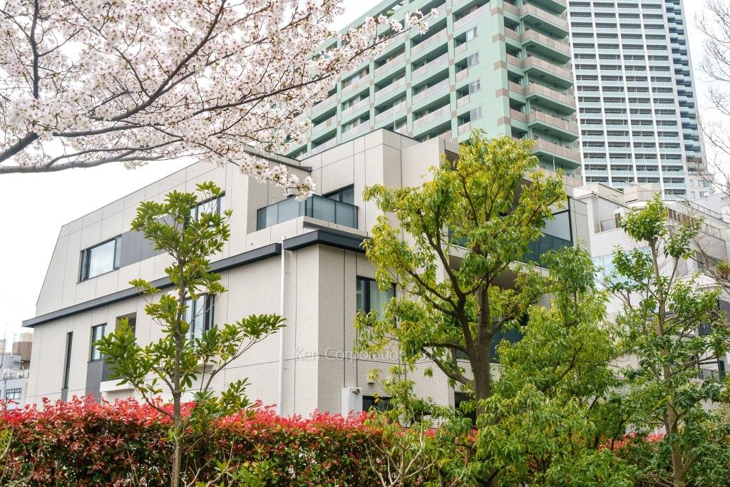 Brillia目黒青葉台の写真 外観ひき