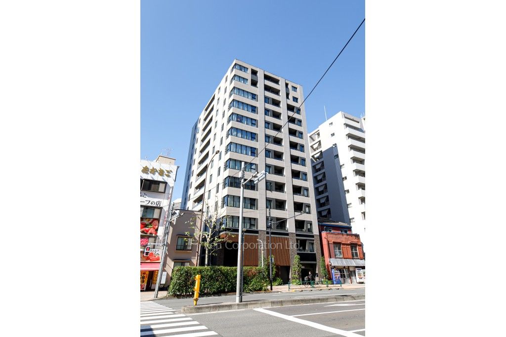 リビオレゾン月島ステーションプレミアの写真 外観ひき