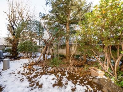 香梅居の写真 中庭・植栽
