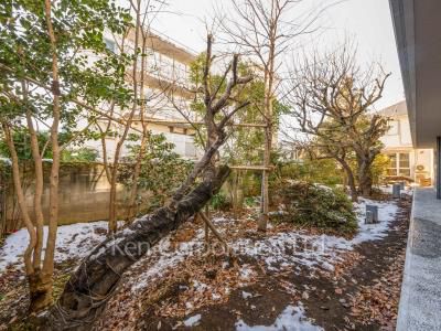 香梅居の写真 中庭・植栽