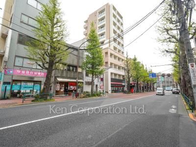 オープンレジデンシア目白avenueの写真 前面道路