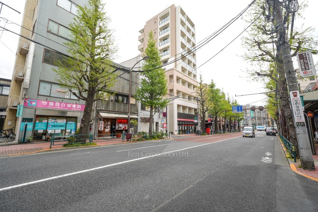 オープンレジデンシア目白avenueの写真 前面道路