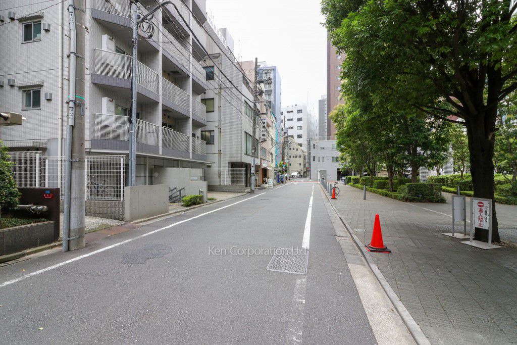 フェニックス浜松町の写真 前面道路