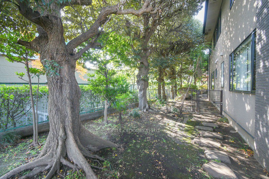 中庭・植栽