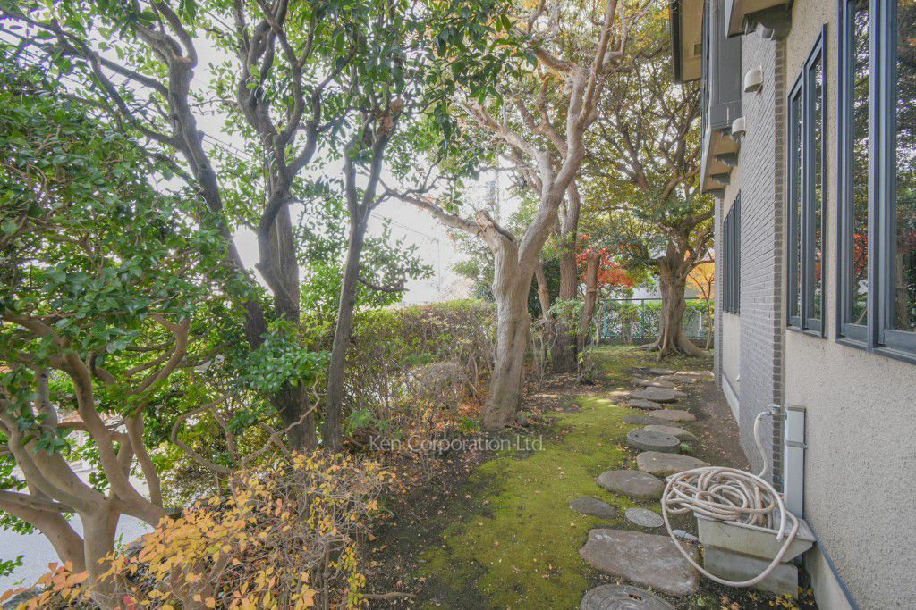  中庭・植栽