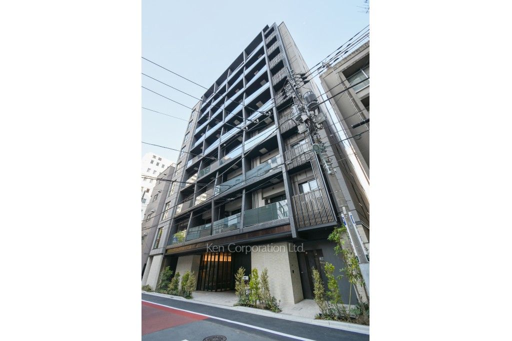  外観ひき