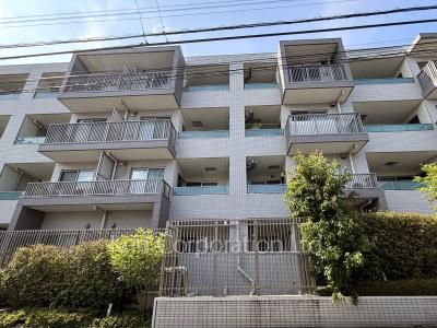  外観ひき