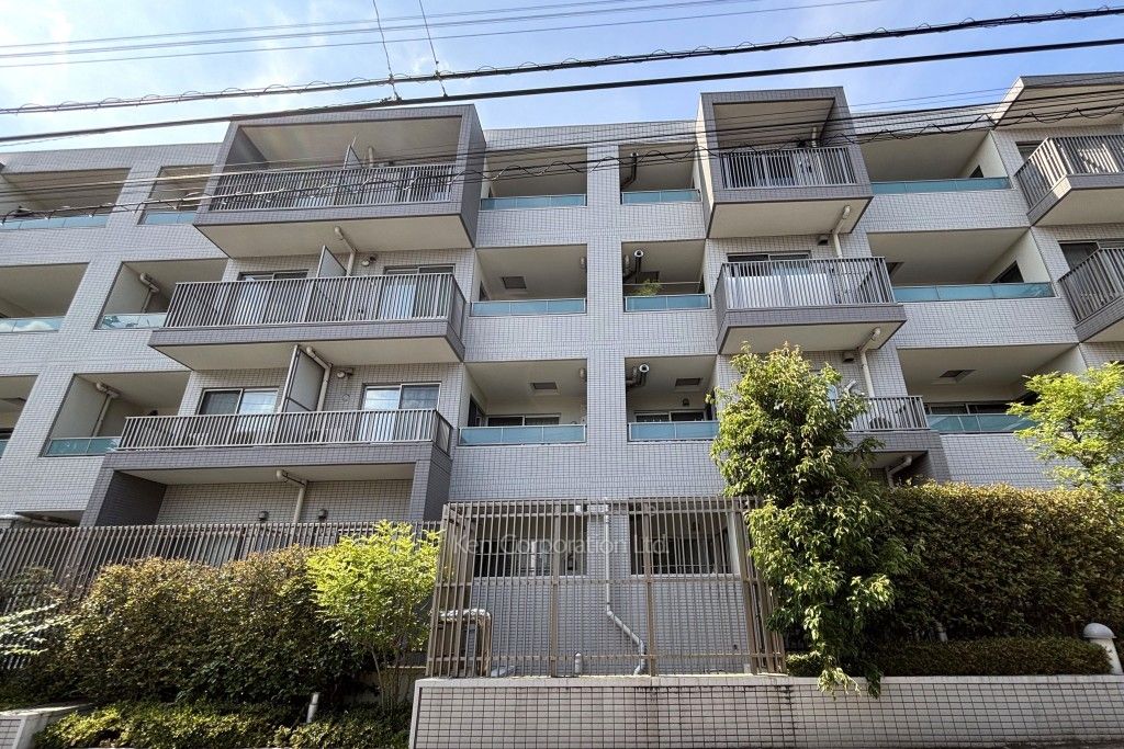  外観ひき