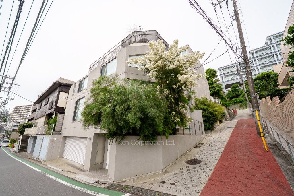  外観ひき