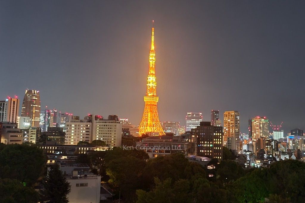ロイヤルシーズン麻布永坂の写真  眺望（共用部から）