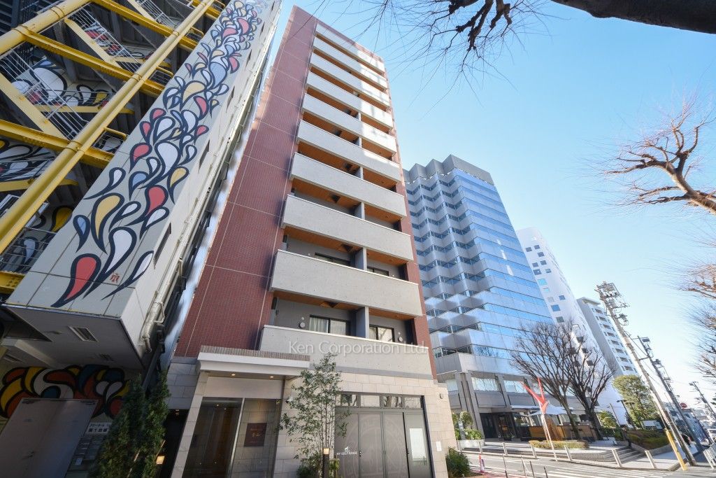  外観ひき