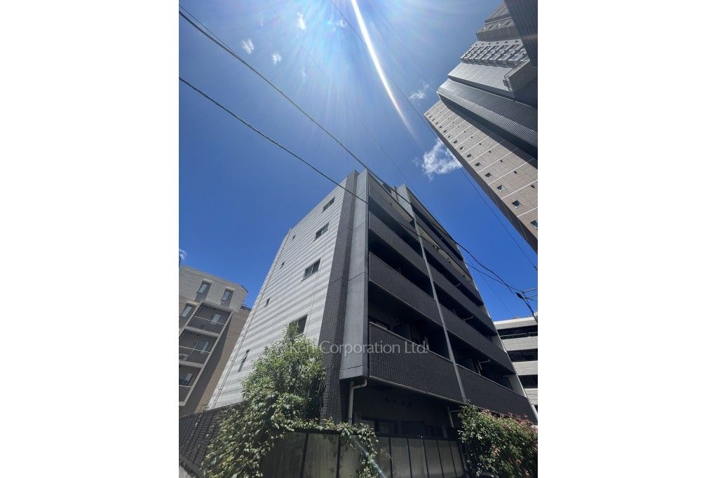 グランドコンシェルジュ白金高輪アジールコートの写真 外観ひき