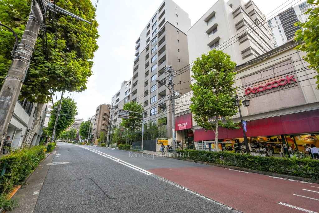グランドメゾン白金高輪パークフロントの写真 前面道路