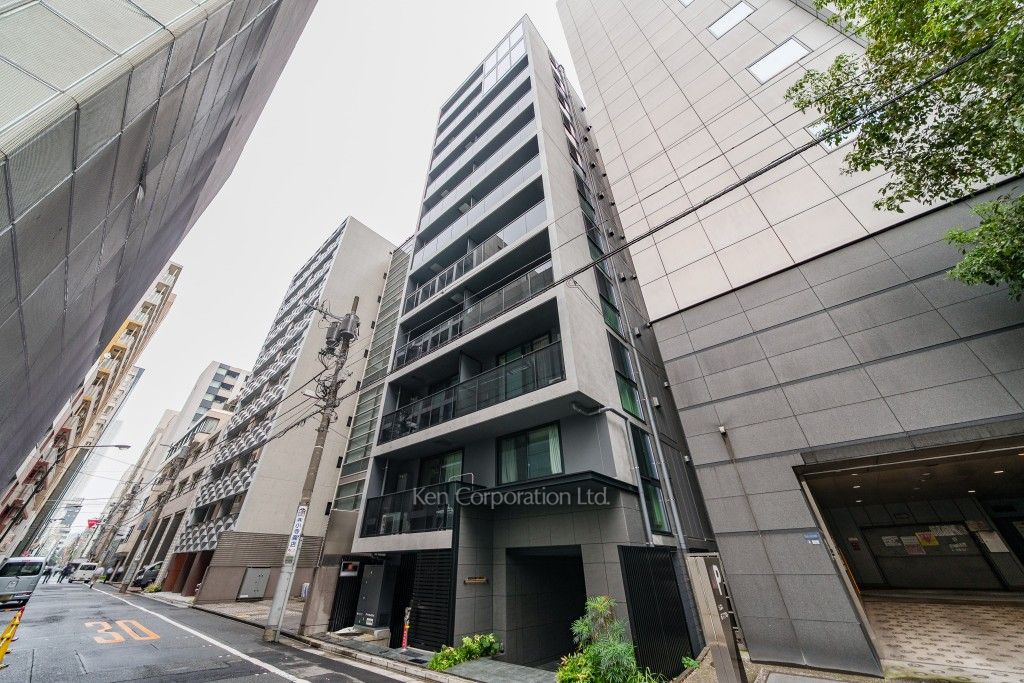 ロイジェント銀座の写真 外観ひき