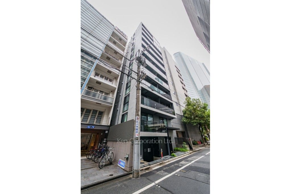 ロイジェント銀座の写真 外観ひき