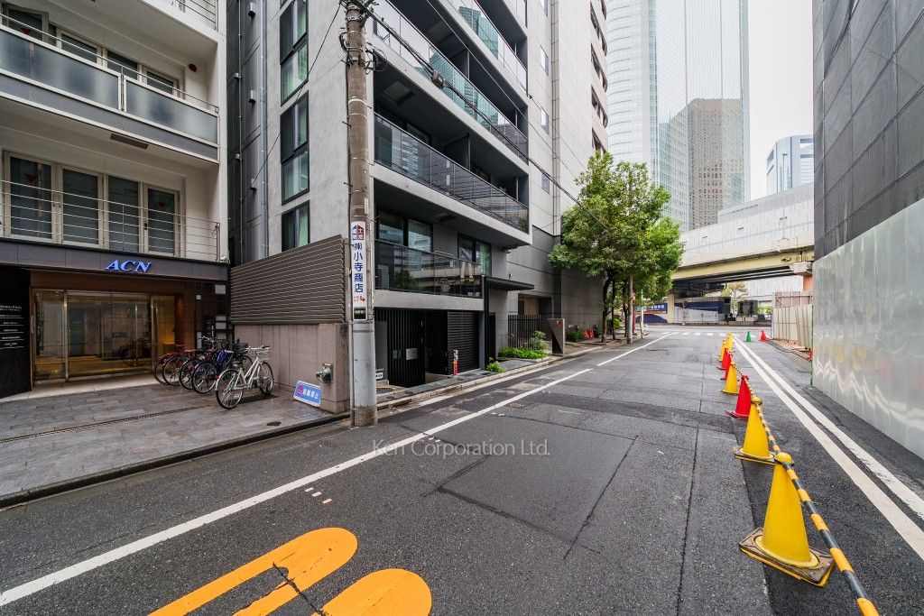 ロイジェント銀座の写真 前面道路