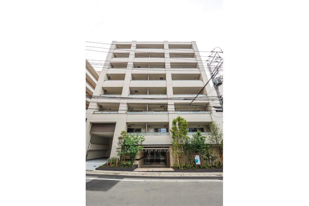  外観ひき