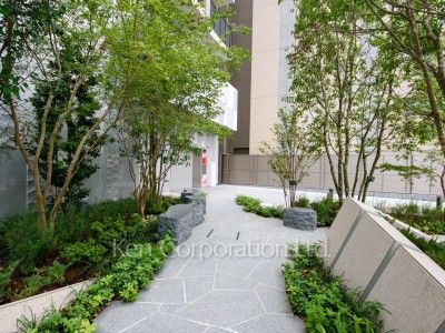 ジオグランデ白金台の写真 中庭・植栽