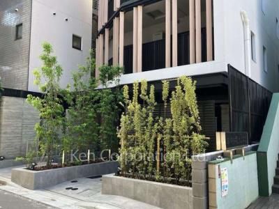 サンウッドフラッツ新宿四谷三丁目の写真  外観より