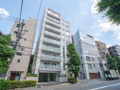 イプセ広尾の写真 外観ひき