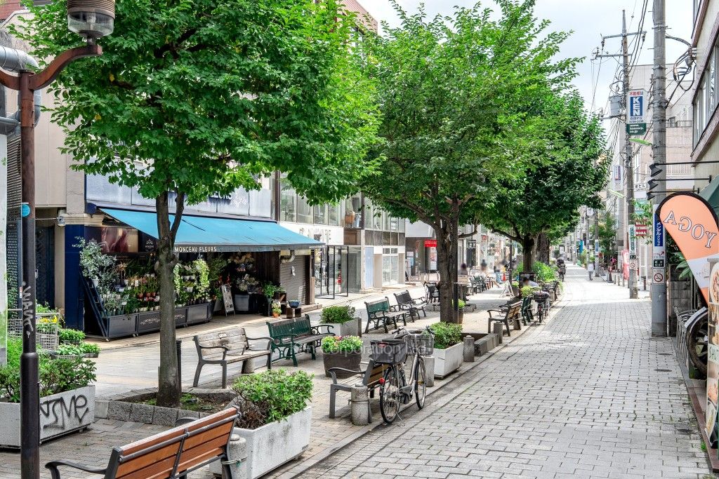 JIYUGAOKA MUSE SQUARE THE RESIDENCEの写真  九品仏川緑道