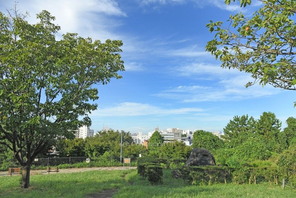 VILLA YUI DAIKANYAMAの写真  西郷山公園