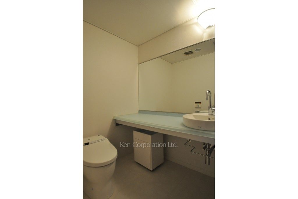 麻布テラスアパートメントの写真 トイレ