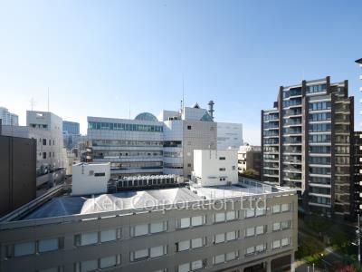 ウィスタリアハイツ一番町の写真 眺望（居室から）
