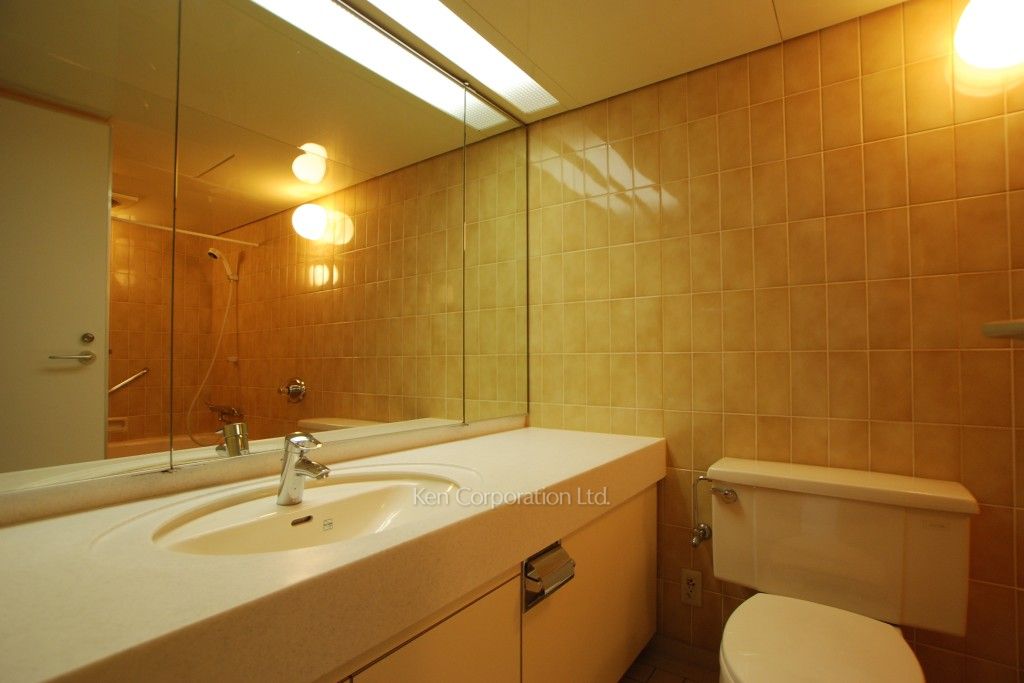 広尾ガーデンヒルズの写真 パウダールーム