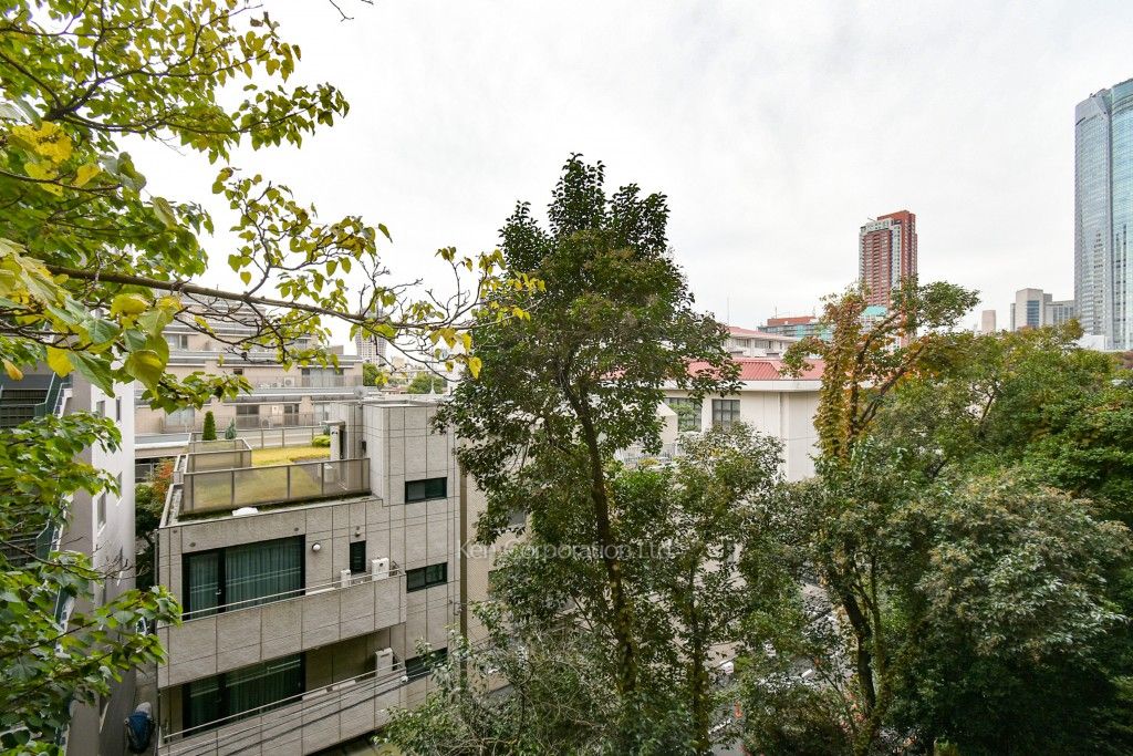 麻布テラスアパートメントの写真 眺望（居室から）