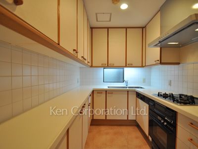 リズ目黒Ⅱの写真 キッチン