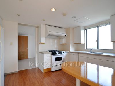 元麻布三田ハウスの写真 キッチン