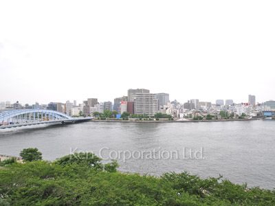 隅田リバーサイドタワーの写真 眺望