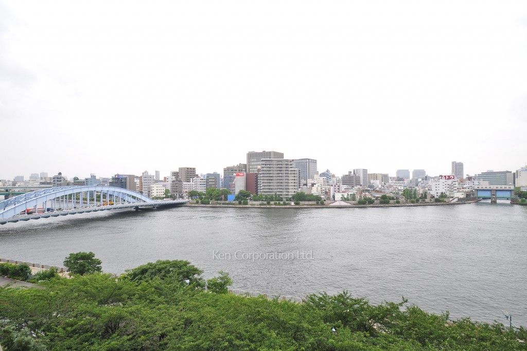 隅田リバーサイドタワーの写真 眺望