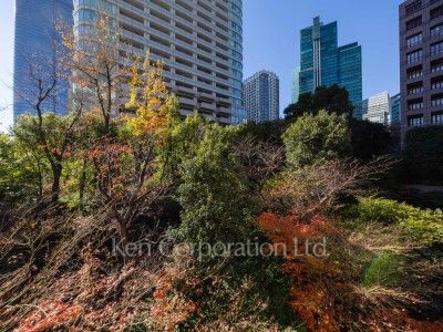 城山トラストコートの写真 眺望（居室から）