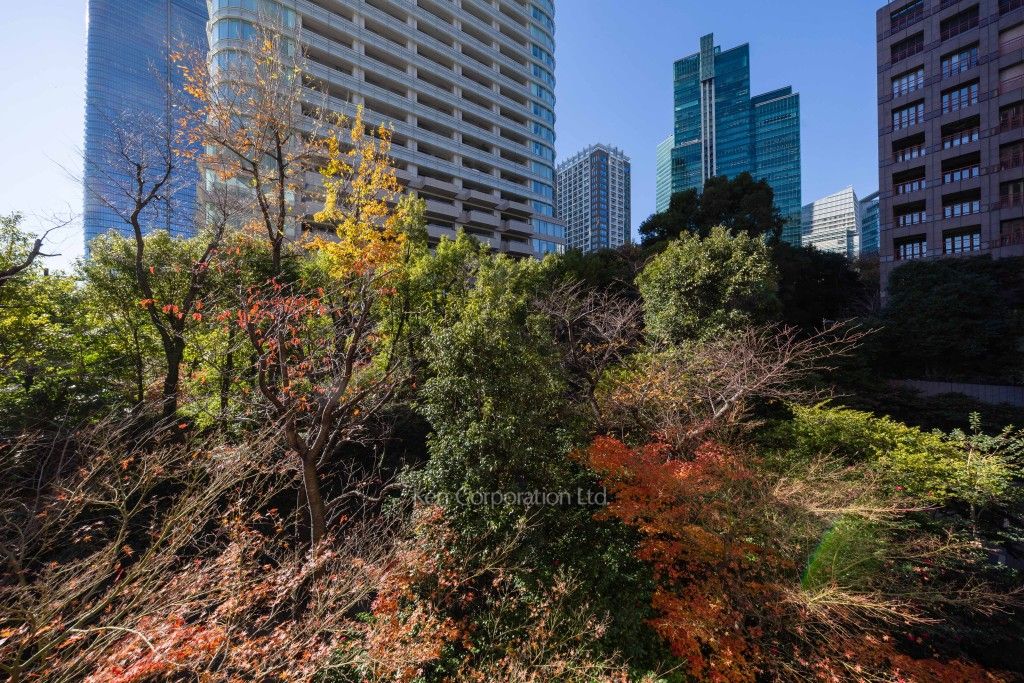 城山トラストコートの写真 眺望（居室から）