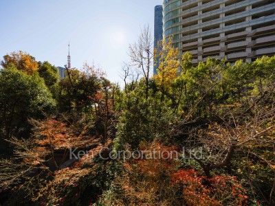 城山トラストコートの写真 眺望（居室から）