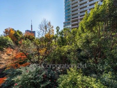 城山トラストコートの写真 眺望（居室から）