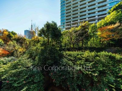 城山トラストコートの写真 眺望（居室から）